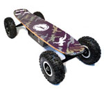 elektro skateboard: Rokitscience 800 Chainsaw Pro