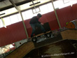 skatepark session