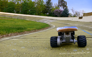 elektroskate sport 600